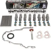 BTR Brian Tooley Racing Truck Norris Cam Kit with Springs Seals and Install Kit incl pushrods for Gen 3 4 LS 4.8 5.3 5.7 6.0 6.2 LS1 Vortec