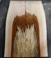 Spalted ink line ambrosia maple drop top .34" thk bass guitar luthier 2639