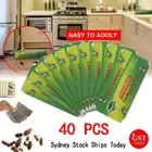 40X Cockroach Trap Bait Sticky Traps Glue Pest Control Cockroaches Insect Bug