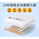 台灣現貨供應～佳裕110V小雞孵化器全自動智慧孵蛋器孵化箱
