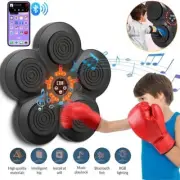 Mounted Smart Music Boxing Equipment Trainer Kids Machine With LED Light Wall Au