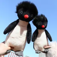 在飛比找蝦皮商城精選優惠-小金本鋪 炸毛企鵝 爆炸頭企鵝 可愛毛絨玩具 玩偶 網紅爆款