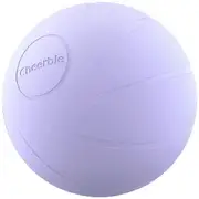 Cheerble Wickedball PE Purple