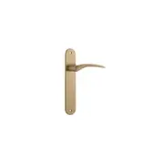Iver Oxford Door Lever Handle on Oval Backplate Brushed Brass