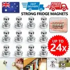 6/12/24PCS Strong Fridge Magnets Neodymium Magnetic Crafts Whiteboard Push Pins