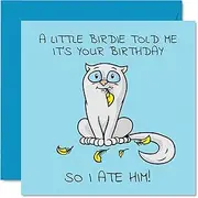Birthday Card Funny - A Little Birdie Told Me It's Your Birthday So I Ate Him - Cartoon Cat Birthday Cards for Her or Him, 145mm x 145mm Birthday Greeting Cards, Birthday Cards Female Adult Friend