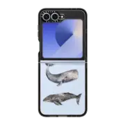 Galaxy Z Flip6 Impact Case Whale