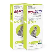 Bravecto Cat Spot-on Green 1.2-2.8kg 4 pack (12 months)