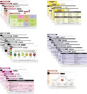 Nurse Nation 30 Horizontal Badge Reference Cards Set - Nursing, Lab Values, EKG, Vitals, and More! (Bonus Cheat Sheets) Excellent Nurses, Nursing Students, and Other Med. Workers!