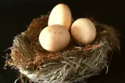 4” Rustic Farm Fresh Straw Bird Nest Chicken Eggs