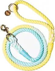 Glow Pups Rope Dog Leash with Rustproof Swivel Hook, Durable Ombre Tie Dye Design, Comfortable Grip, 59 inches and 1/2 inch Thick, Ideal Length, Dog Leash - Yellow Blue