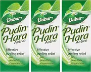 Dabur Pudin Hara 30 ml (Pack of 3) - PamHerbals®
