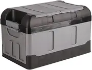 ATATHXHQay Trunk Storage Box 45L Car Trunk Storage Box 60kg 132.28Ib Load Organizer High Cover Two Compartments for Home Auto