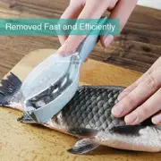 Fish Scale Scraper
