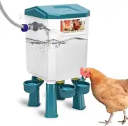 Float-Controlled Automatic Chicken Waterer for Continuous Water, Free-Standing