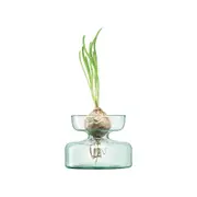 LSA International Canopy Vase/Bulb Enclosed Garden Home Planter Clear 10cm