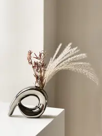 在飛比找松果購物優惠-北歐風銀色陶瓷花瓶 電鍍簡約風格裝飾花器 (8.3折)