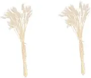 Luxshiny 2sets 50pcs Dried Bunny Tail Grass Decorative Bouquet for Wedding Home Decor Chic DIY Dried Arrangement Rustic Table Decoration 50pcs*2