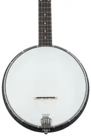 Gold Tone AC-1LN 5-string Open-back Banjo