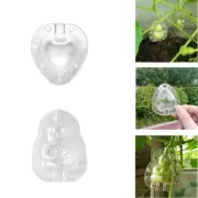 Fruit model Shaping Plastic Heart-Shaped for Pear Growth Forming Vegetable