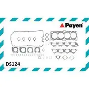 Payen Head Set (VRS) - DS124