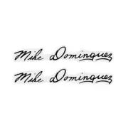 Diamond back - 1987 Mike Dominguez - Black Bar decal - Old school bmx