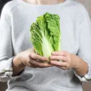 Chinese Cabbage - Mini Napa F1 seeds