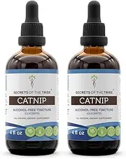 Catnip Alcohol-Free Liquid Extract, Catnip (Nepeta Cataria) Dried Leaf (2x4 FL OZ)