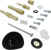 Carburetor Repair Kit Diaphragm Plunger with Needle for Honda Steed Shadow VT VLX 400