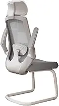 Ergonomic Office Chair Ergonomic Office Chair No Wheels Gaming Chair with Adjustable Arms, Home Office Desk Chair, Task Chair with Lumbar Support Desk Chair(Gray)