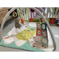 在飛比找蝦皮購物優惠-Fisher Price 費雪健力架 寶寶玩具 嬰兒玩具 遊