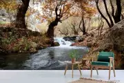 3D Woods River Autumn Landscape Wallpaper Wall Murals Removable Wallpaper