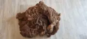 Rockleigh Alpacas - Alpaca Fleece - Brown - Eclair - 850g