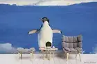 3D Cute Penguin Wallpaper Wall Mural Removable Self-adhesive 283