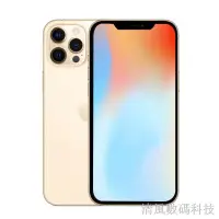 在飛比找蝦皮購物優惠-二手蘋果iPhone12 Pro Max國行雙卡5G手機蘋果