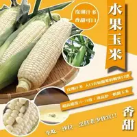 在飛比找森森購物網優惠-果農直配-日本品種水果玉米(10斤±10%/含箱重)