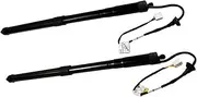 Rear Electric Tailgate Support Power Lift Strut 6892042020 6891042060,Compatible With Toyota RAV4 2019