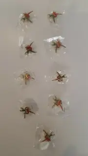 Melbourne 2006 Commonwealth Games – Unopened - Metal badge pin (Qty 9)