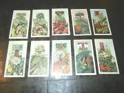 BADSHAH TEA-FULL SET- FRUITS OF TREES & SHRUBS 25 CARDS Oak Apple pear