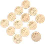 HAMPPLIES 13pcs Wooden Monthly Milestone Discs Photo Props Baby Milestone Cards for Home Decor