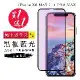 IPhone XS MAX 11 PRO MAX 保護貼 買一送一日本AGC黑框藍光玻璃鋼化膜