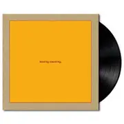 Leaving Meaning (Vinyl)