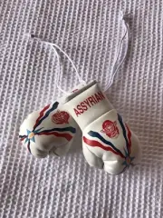 Assyrian Mini Boxing Gloves