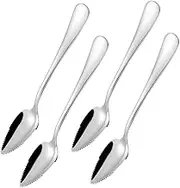 Homoyoyo 4pcs Stainless Steel Food Scraper Spoons for Fruit Puree Safe Efficient Design for Toddlers for and for Home Feeding