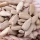 【168all】600g【嚴選】生葵瓜子仁 Unroasted Sunflower Seed