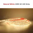 220V 230V SMD 2835 LED Strip Light Waterproof 120Leds/M 1M 2M 3M 4M 5M 10M 15M 2