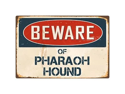 Beware Of Pharaoh Hound 8" x 12" Vintage Aluminum Retro Metal Sign VS326