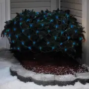 Celebrations Blue LED Mini Blue 100 ct Net Christmas Lights 24 ft.
