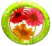 SPRINGTIME ~LUNCHEON Paper Plates ~ 8 Ct. ~ 8 7/8" Plates ~ VIBRANT DAISIES