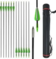 ZSHJGJR 12 Pieces 30 Inch Fiberglass Arrow Archery Practice Target Arrows 6mm Fun Game Arrows with Arrow Quiver for Beginner Recurve Compound Bow